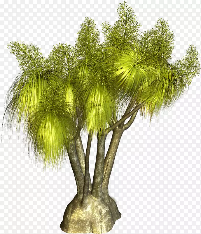 植物剪贴画-棕榈树