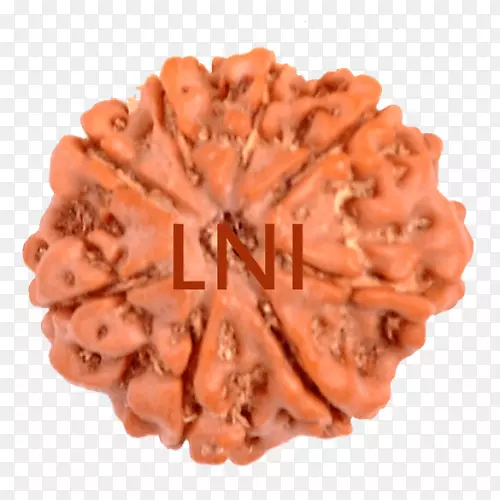 Rudraksha shiva Ganesha Narayana Lakshmi-Kartikeya