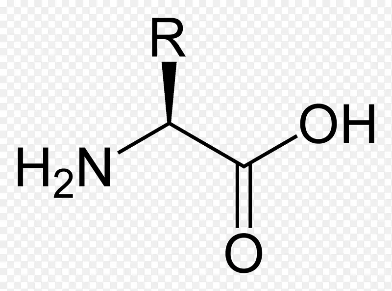 蛋白质性氨基酸天冬氨酸-1