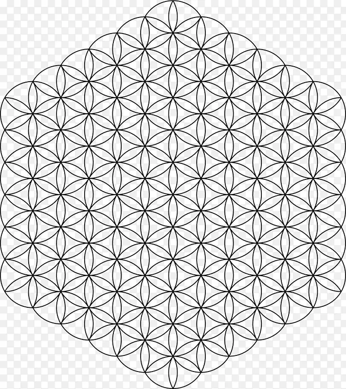 重叠圆网格神圣几何图形绘制