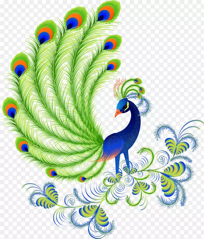 孔雀和孔雀。包括有关蓝色，白色，印度和绿色孔雀的事实和信息。饲养、拥有、饲养和饲养孔雀或孔雀。鸟类羽毛剪贴画-孔雀