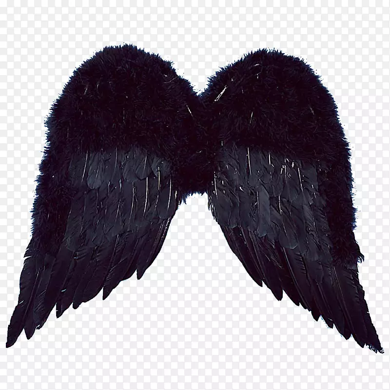 机翼标准测试图像光栅图形编辑器-天使翅膀