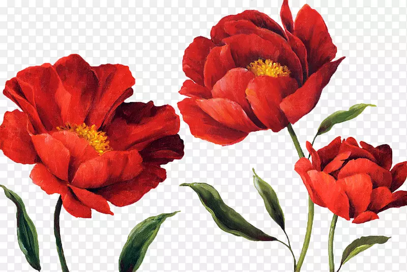 花纸水彩画花卉设计水彩画红色