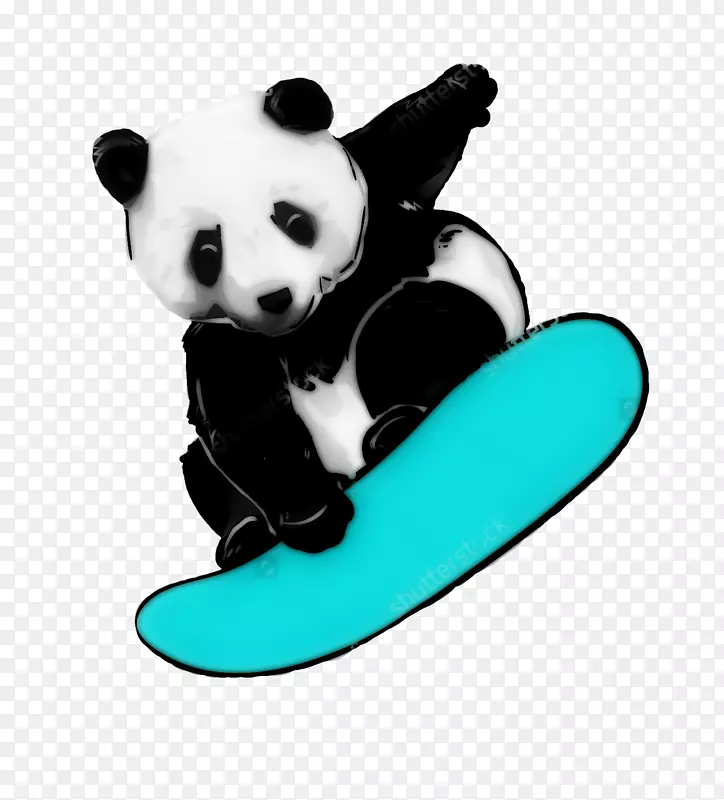 熊大熊猫食肉动物鞋-熊猫