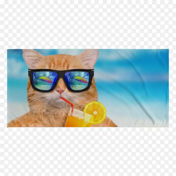 猫Youtube Fotolia-沙滩毛巾