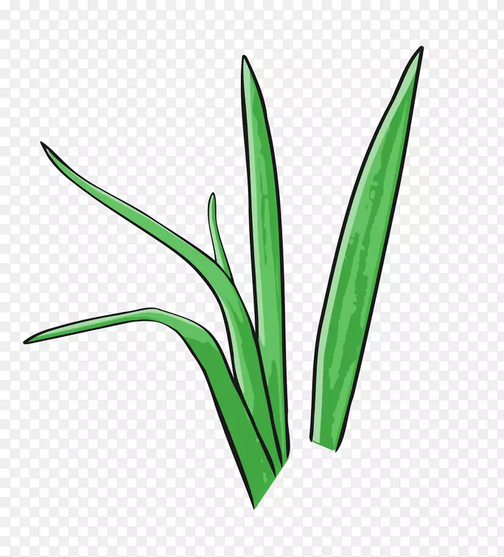 剪贴画-卡通草
