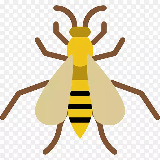 昆虫电脑图标蜂