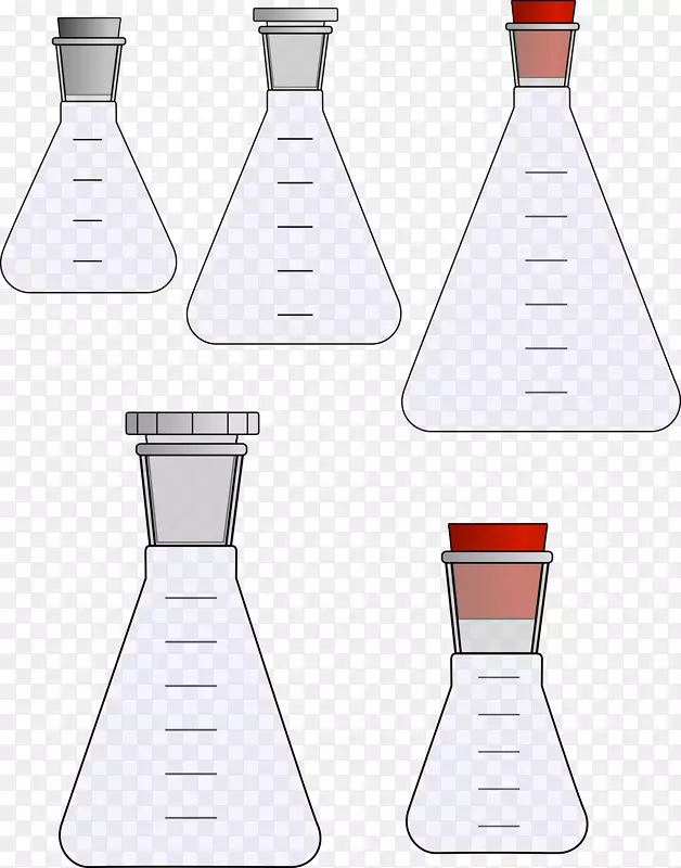 实验室烧瓶Erlenmeyer烧瓶试管夹艺术瓶