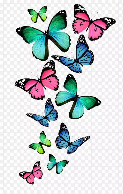 蝴蝶色皇室-免费剪贴画-水彩画动物