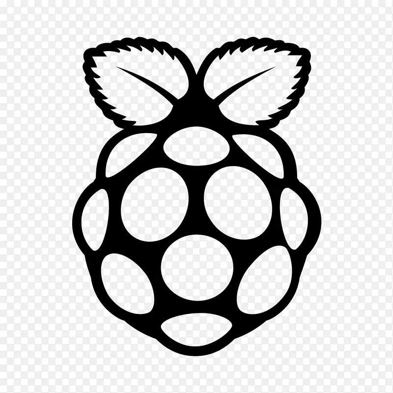 raspberry pi电脑图标