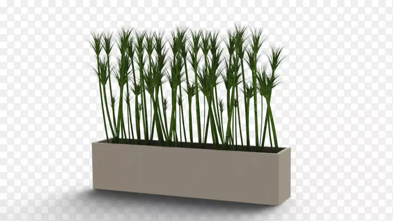 花盆室内植物SolidWorks-花盆