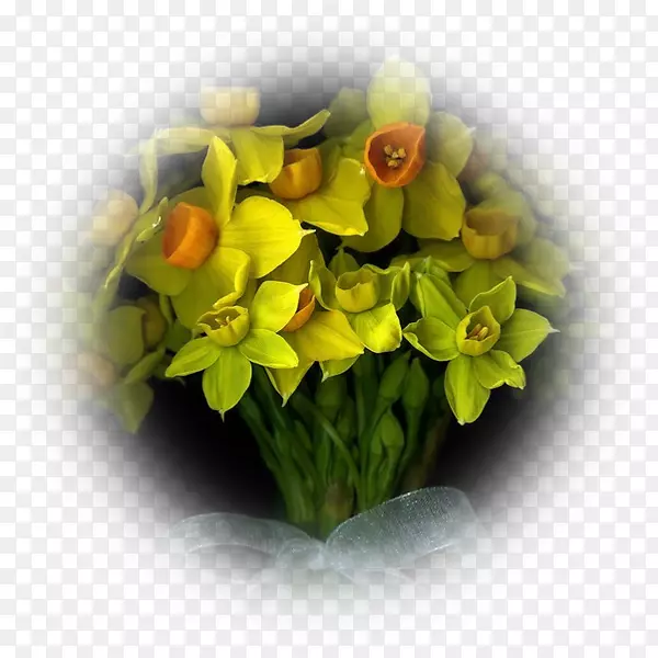 花卉摄影师动画-含羞草