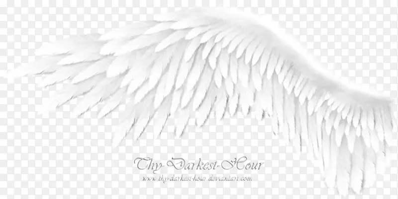 黑白画笔-天使之翼
