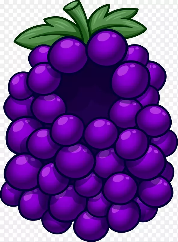 葡萄俱乐部企鹅水果服装紫色葡萄