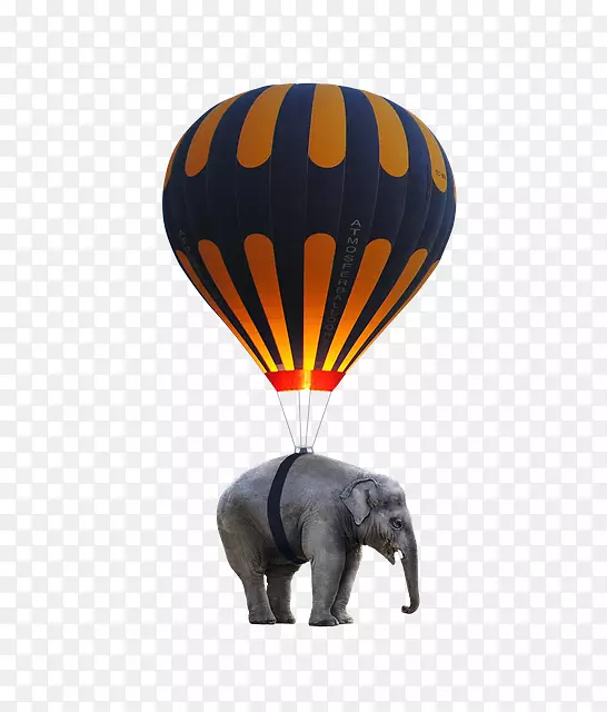热气球大象玩具气球-大象主题