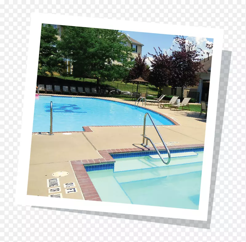 宾夕法尼亚州立大学布赖恩游泳池学生宾夕法尼亚州尼塔尼狮子男子篮球游泳池