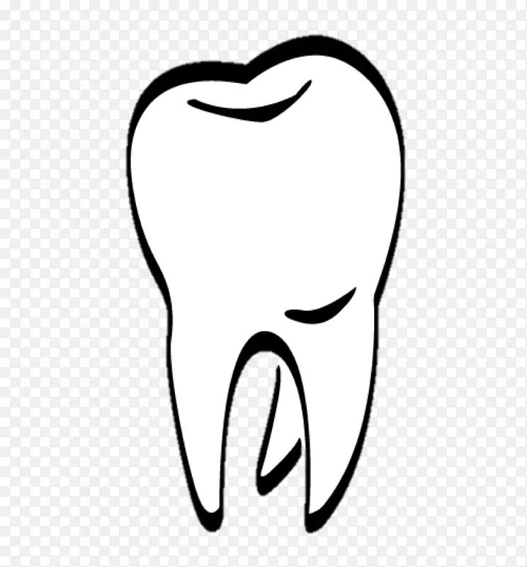 人类牙齿牙医夹艺术牙