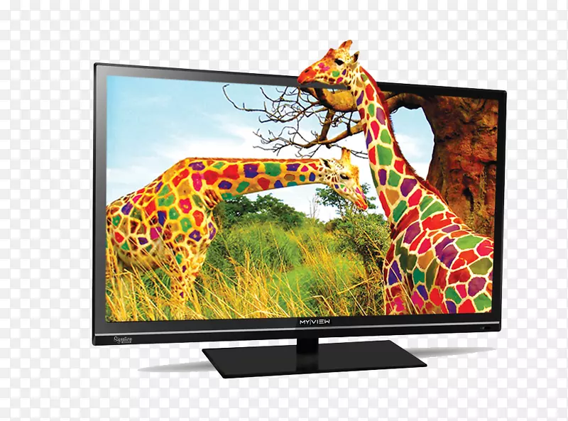 长颈鹿彩色桌面壁纸显示分辨率电视