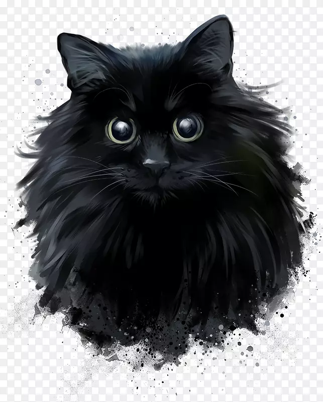 波斯猫黑猫挪威森林猫画-波斯猫