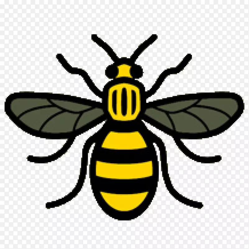 2017年曼彻斯特竞技场轰炸工人-曼彻斯特蜜蜂的象征