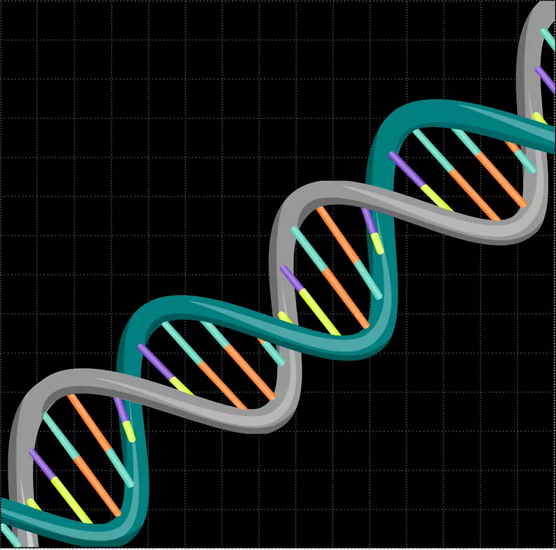 双螺旋：发现DNA核酸双螺旋DNA复制碱基对结构的个人记述