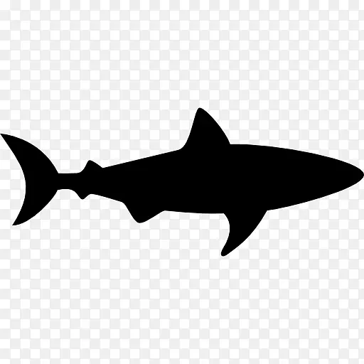 锤头鲨剪贴画-鲨鱼