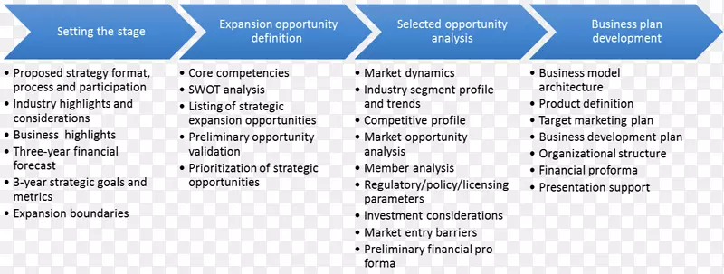 组织战略商业机会营销计划-调查