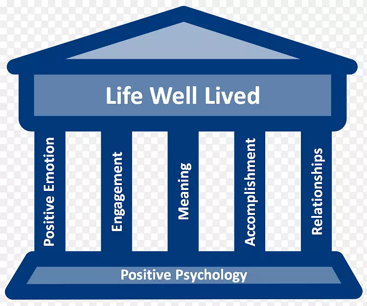 积极心理学繁荣交际有意义的生命心理学