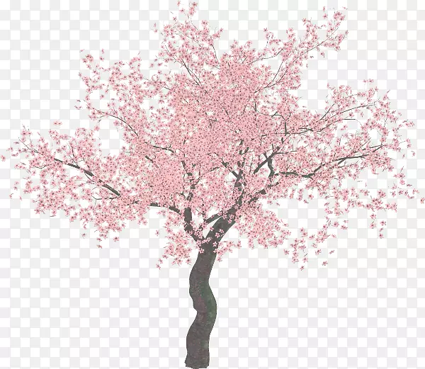 樱花树剪贴画-樱花树