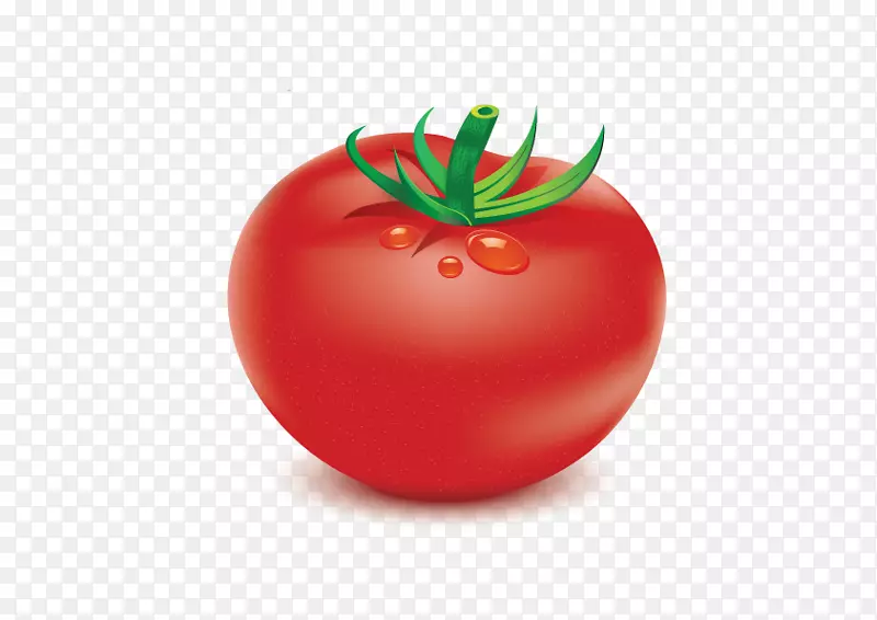 李子番茄食品蔬菜灌木番茄