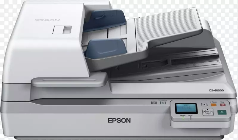 图像扫描仪爱普生自动文件馈送计算机软件扫描仪