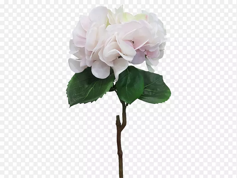 切花设计植物蜈蚣玫瑰-绣球花