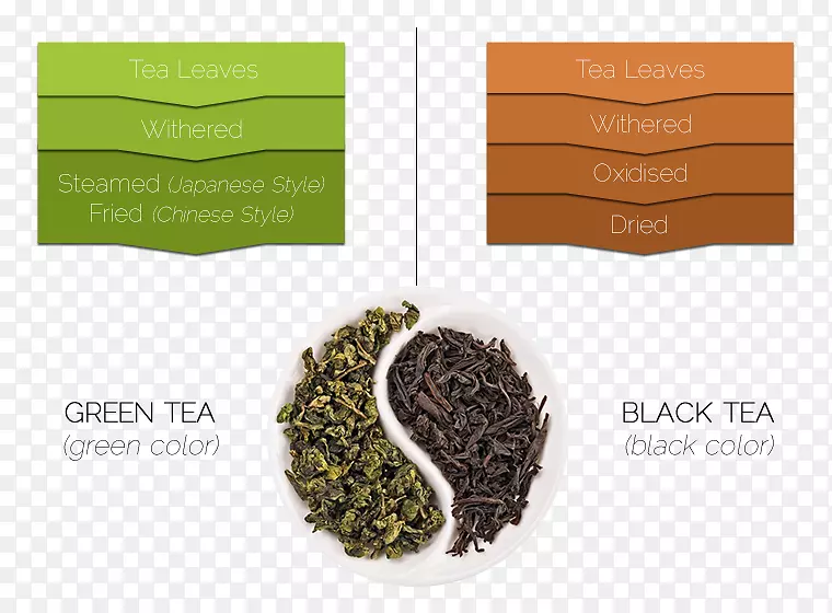 绿茶分级乌龙茶茶叶