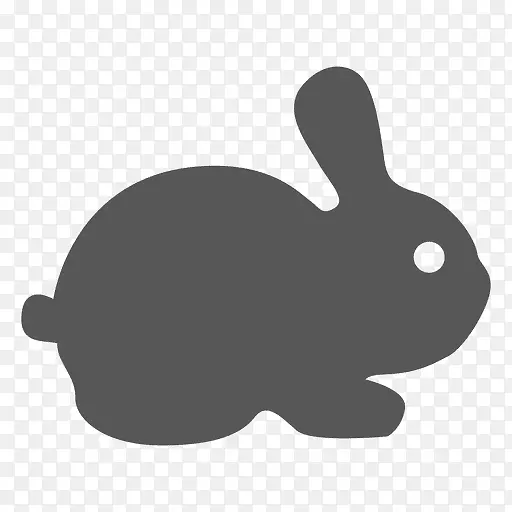 复活节兔子-兔子