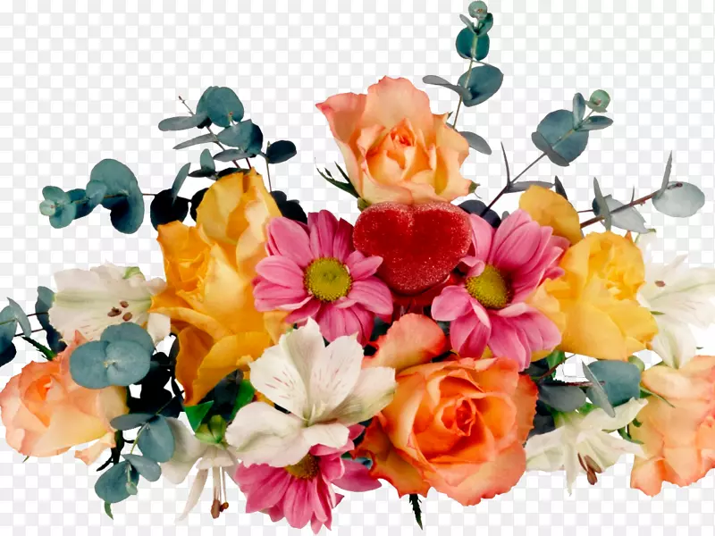桌面壁纸花卉动画-花卉