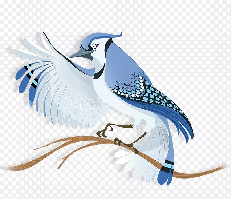 鸟巢多伦多蓝雀-鸟群