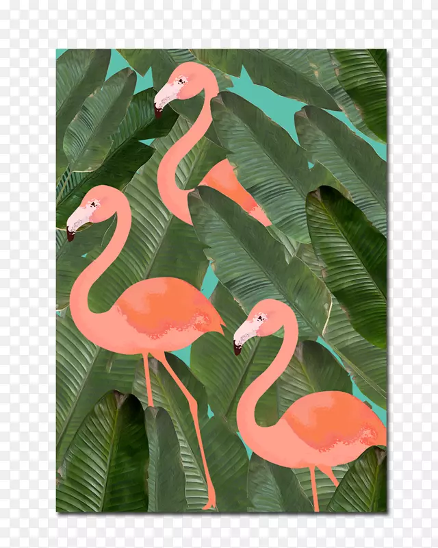 Flamingo Mary D.鸟，Ot艺术水鸟-火烈鸟