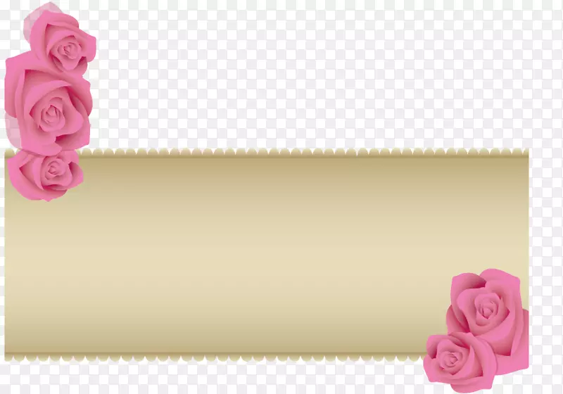 玫瑰科花园玫瑰花瓣结婚纪念日