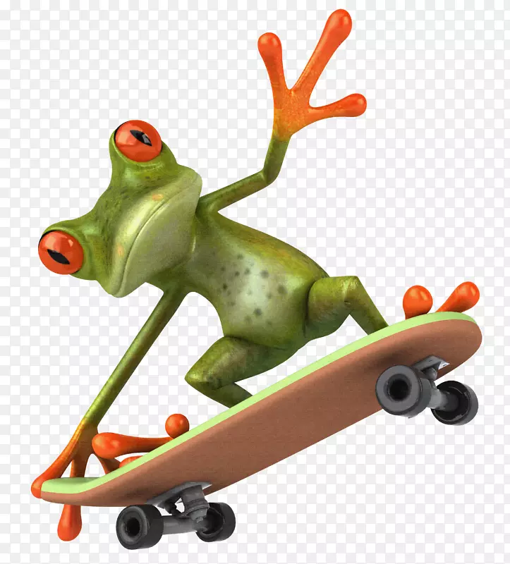 青蛙滑板夹艺术-两栖动物