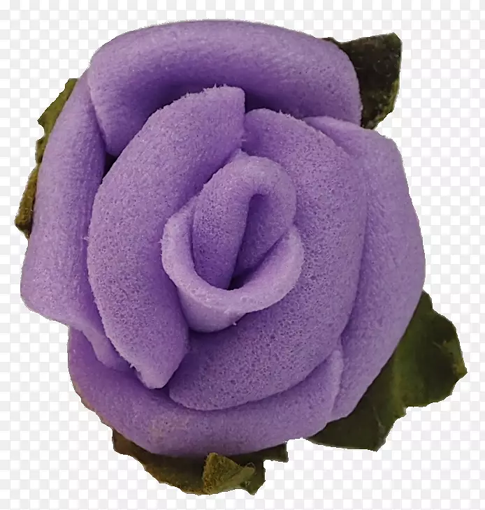 花园玫瑰紫色切花薰衣草花