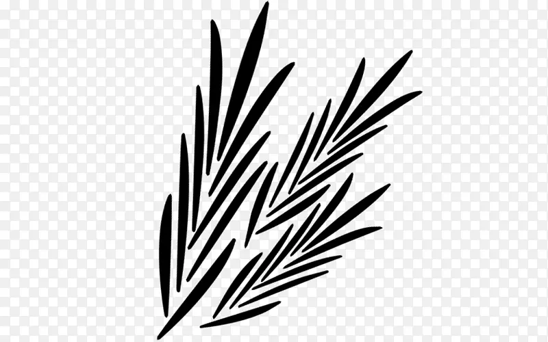 黑白单色摄影植物茎-麦芽