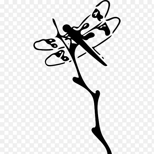 蜻蜓社区针灸中药昆虫-龙蝇