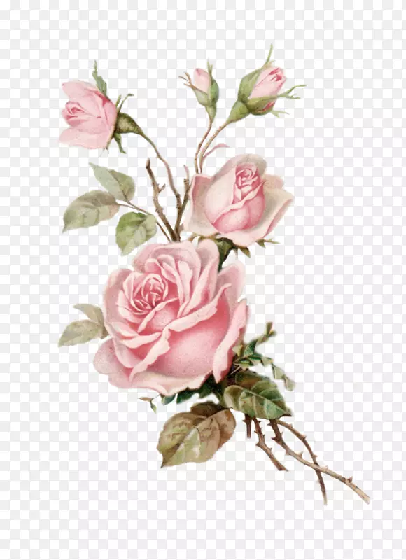 花束花园玫瑰花卉设计-明信片