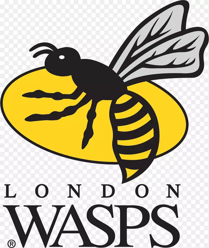 Wasps rfc伦敦爱尔兰莱斯特老虎英国英超理光竞技场-黄蜂