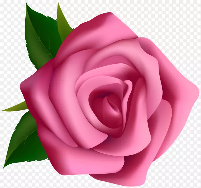 玫瑰剪贴画-粉红色