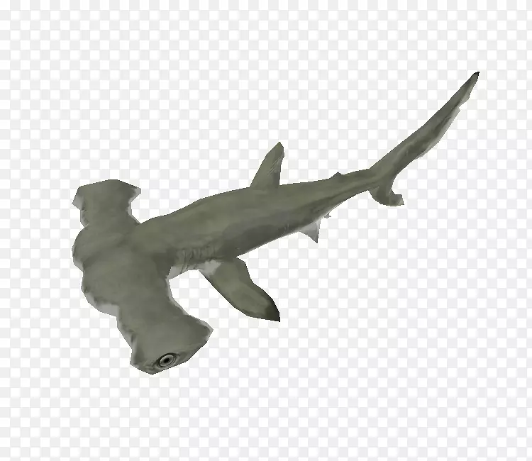 锤头鲨软骨鱼类动物雕像-幼鲨