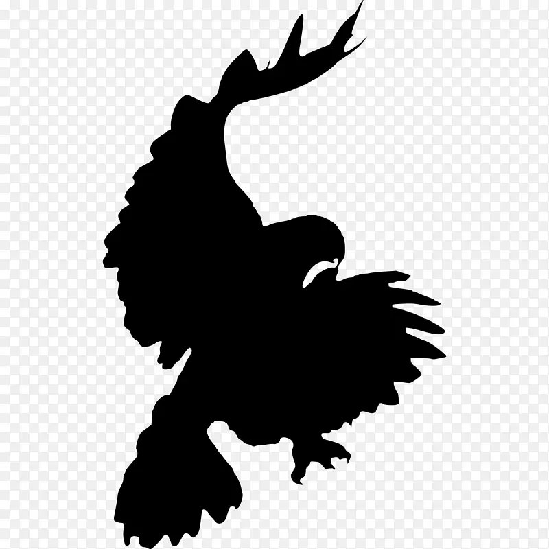 鸟红尾鹰夹艺术-乌鸦