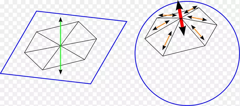 Coque板理论软体动物壳三角形斑块
