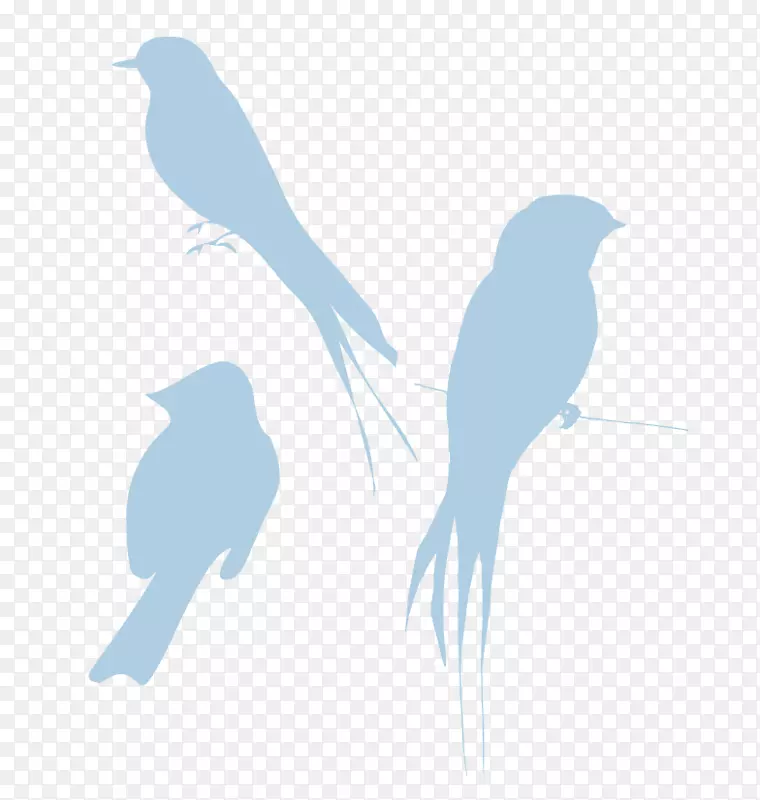 鸟鹦鹉夹艺术-蓝鸟