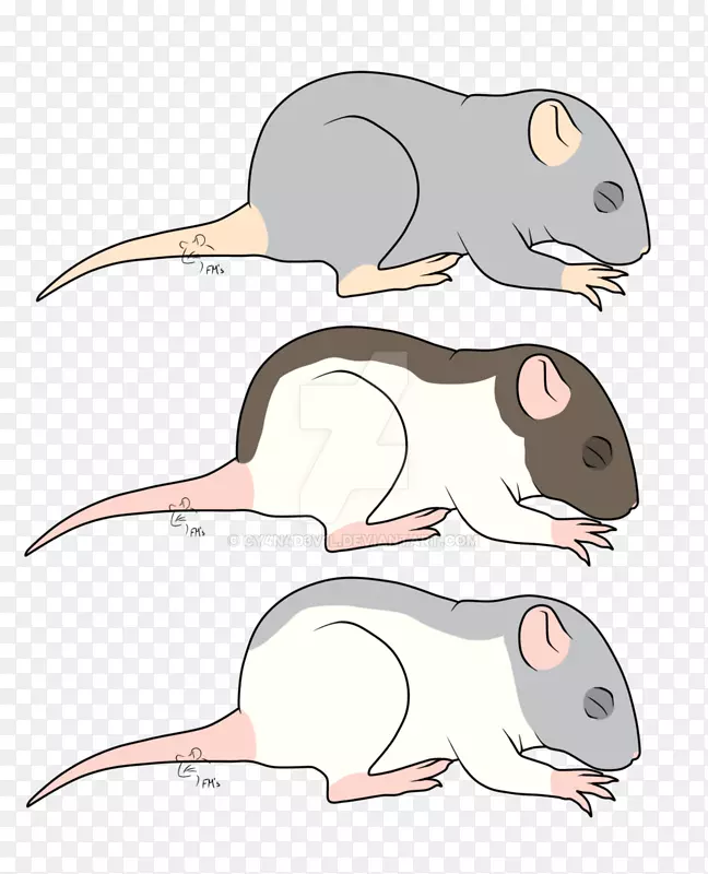 鼠鼠